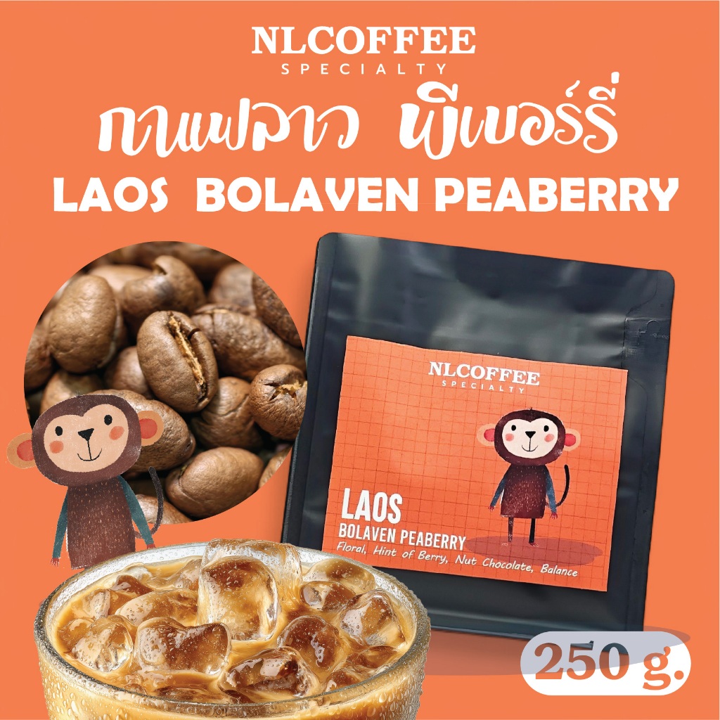 (ใหม่) NLCOFFEE เมล็ดกาแฟ Laos - Bolaven Peaberry