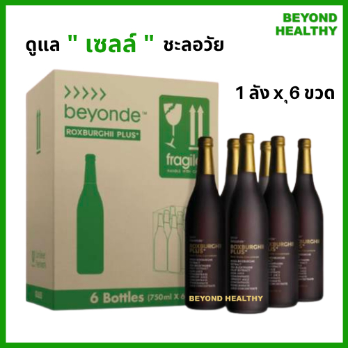 BEYONDE แท้ 💯% บียอนด์ ร็อกซ์เบอร์กี้ พลัส 1 ลัง ( 6 ขวด x 750 มล. ) beyonde Rox Burghii Plus ชะลอวัย ULIFE ยูไลฟ์