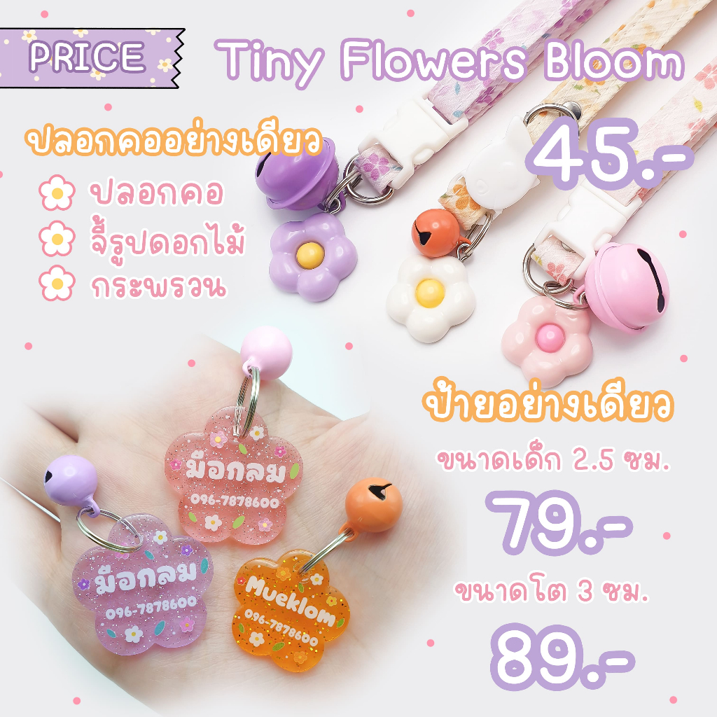 รูปภาพ 4