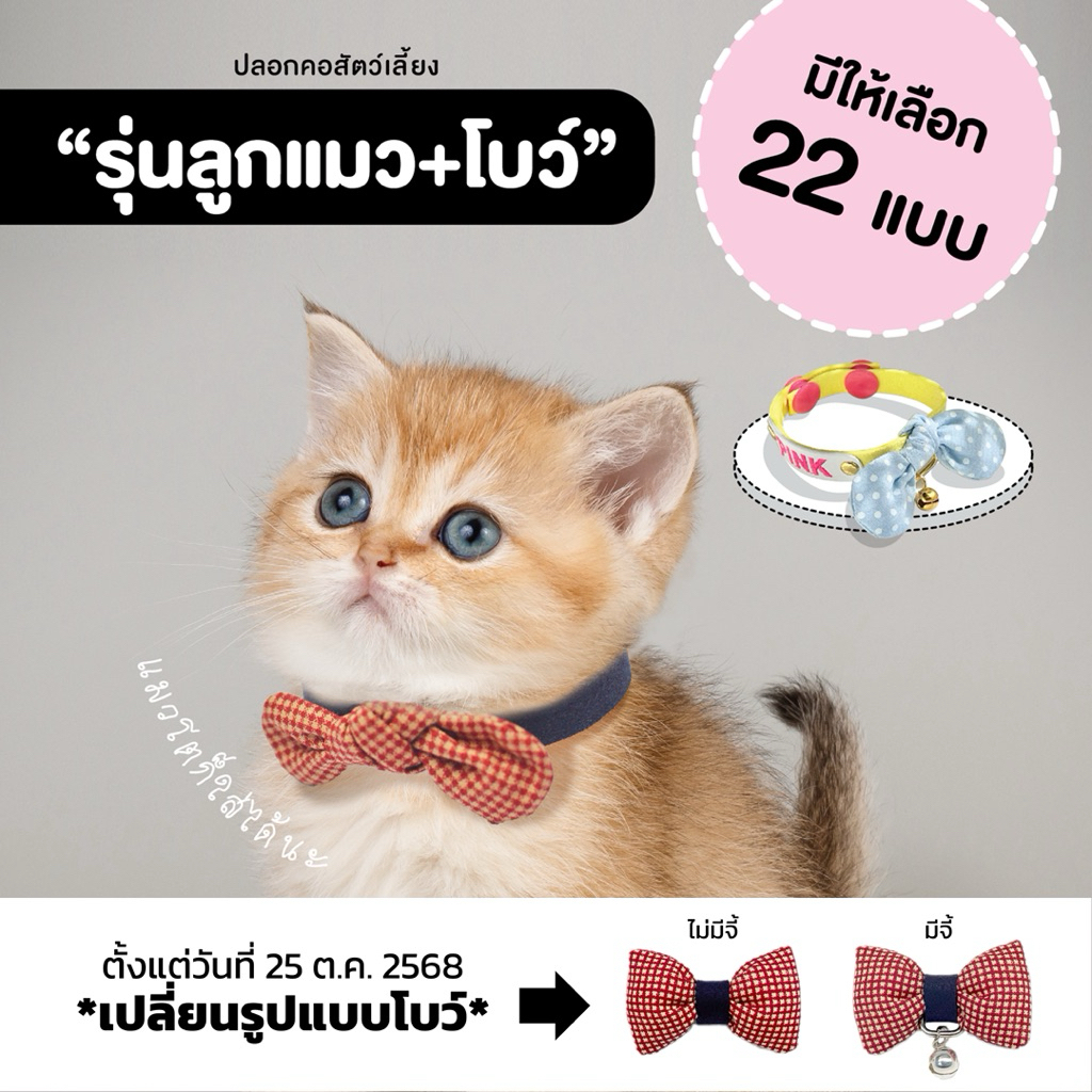 PALEE ปลอกแมว “รุ่นลูกแมว+โบว์” มีให้เลือก 22 แบบ [ แมวโตก็ใส่ได้นะ ]