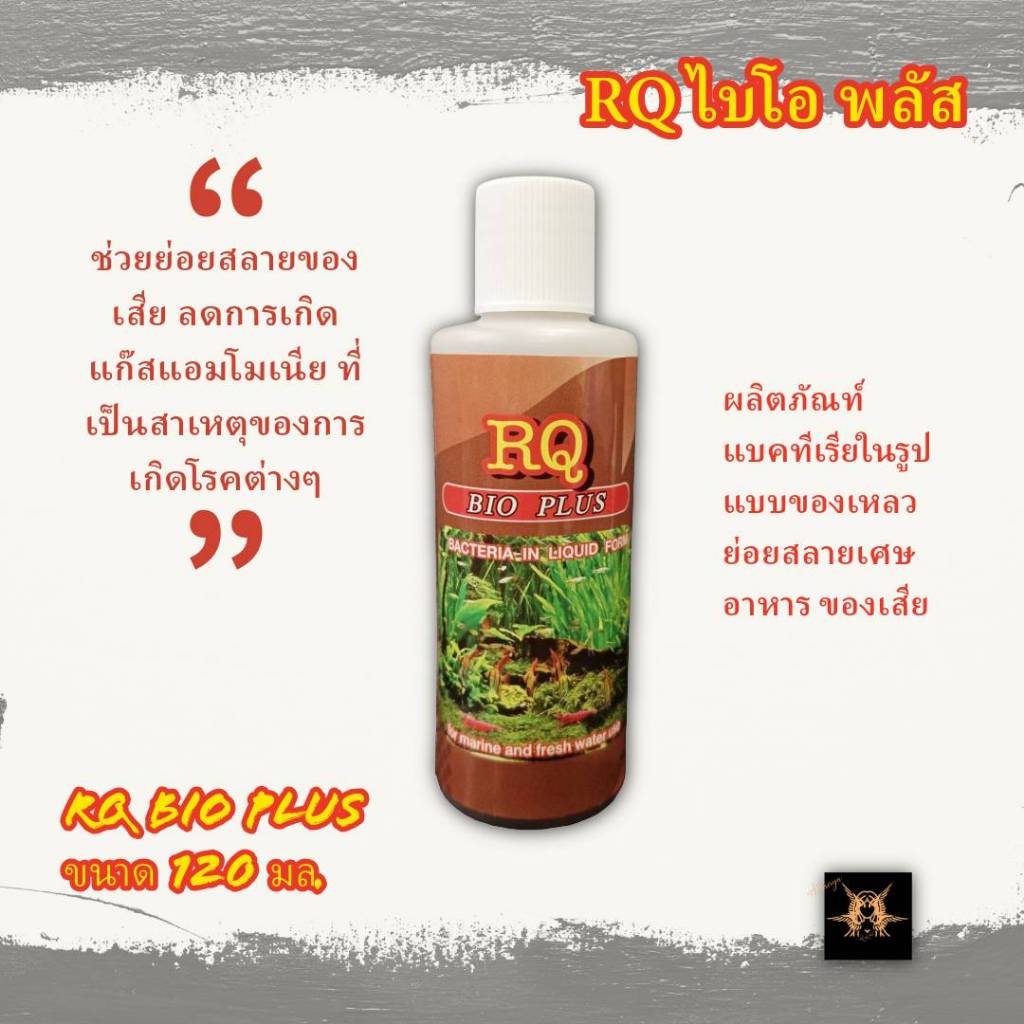 ผลิตภัณฑ์แบคทีเรียในรูปแบบของเหลว อาร์คิว ไบโอ พลัส RQ Bio Plus ขนาด 120 มล. ฝาสีขาว สำหรับปลาสวยงามน้ำจืดและน้ำทะเล