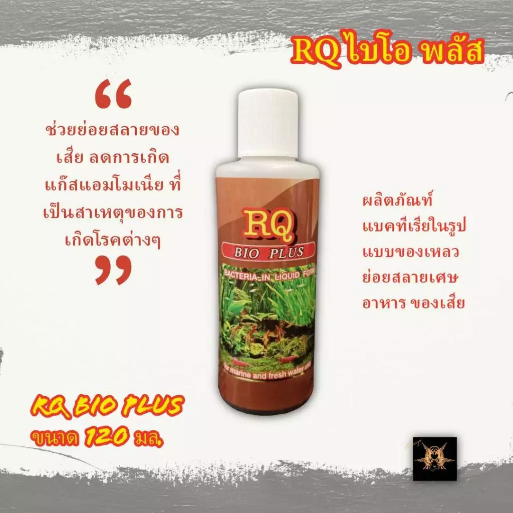 ผลิตภัณฑ์แบคทีเรียในรูปแบบของเหลว อาร์คิว ไบโอ พลัส RQ Bio Plus ขนาด 120 มล. ฝาสีขาว สำหรับปลาสวยงามน้ำจืดและน้ำทะเล