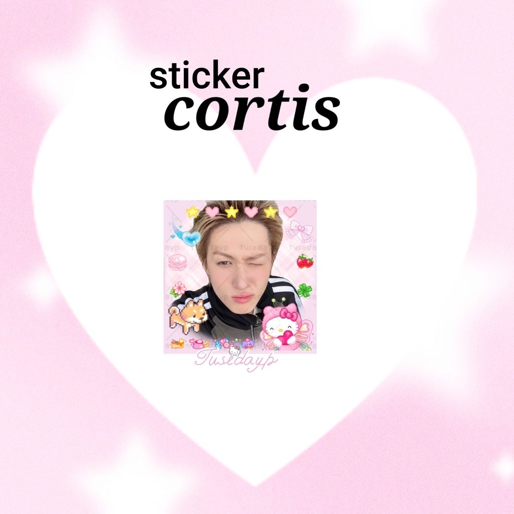 สติ๊กเกอร์ Cortis 30ชิ้น - รูปที่ 4