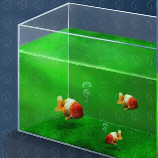 YEE ALGAE SPORE ผงสร้างตะไคร่ ผงสปอร์ตะไคร่ FISH LEBAO ปรับสภาพน้ำ ลดคลอลีน NITRIFYING BACTERIA แบคทีเรียสร้างระบบกรอง