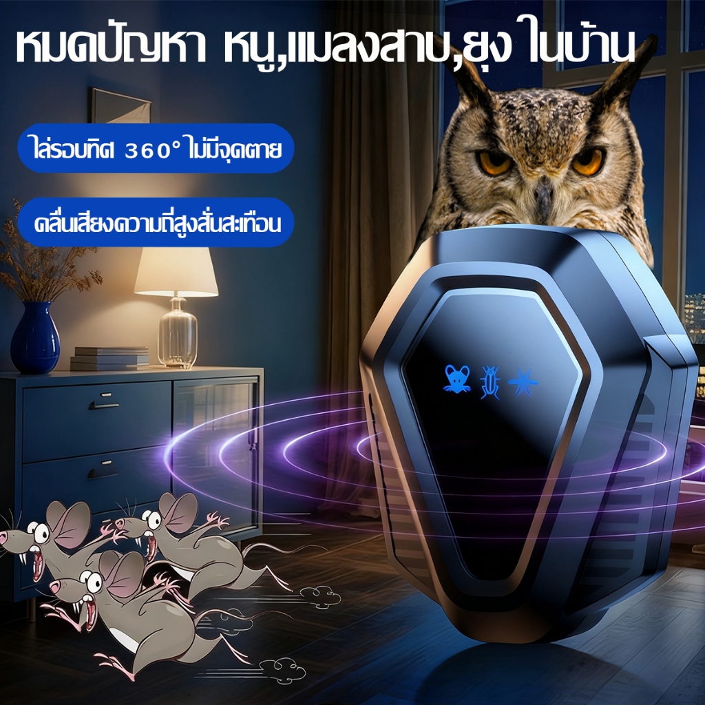 Thumbnail 8