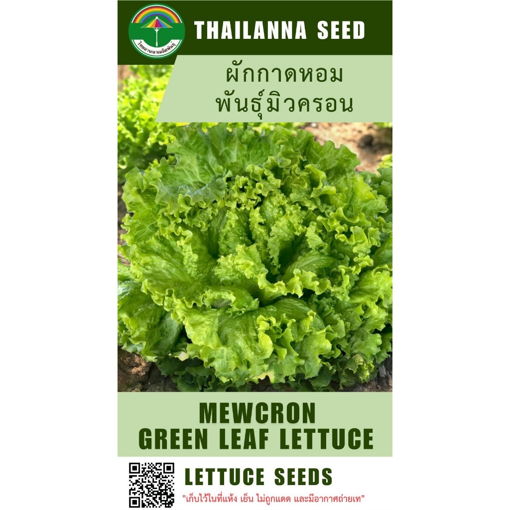 เมล็ดพันธุ์ผักสลัด ผักกาดหอม พันธุ์มิวครอน ( ขนาด 0.5 กรัม ) ( เมล็ดเปลือย ) รหัสสินค้า 3031