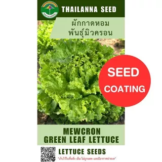 เมล็ดพันธุ์ผักสลัด ผักกาดหอม พันธุ์มิวครอน ( ขนาด 0.5 กรัม ) ( เมล็ดเคลือบ ) รหัสสินค้า SSC 1031