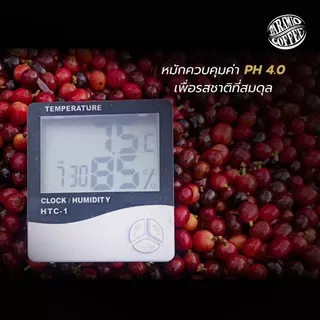 Baramio เมล็ดกาแฟคั่ว รุ่น Kaewma Farm (แก้วมาฟาร์ม) 200 g. (Arabica100%) Tastenote: Ripe fruit, Plum, Winey