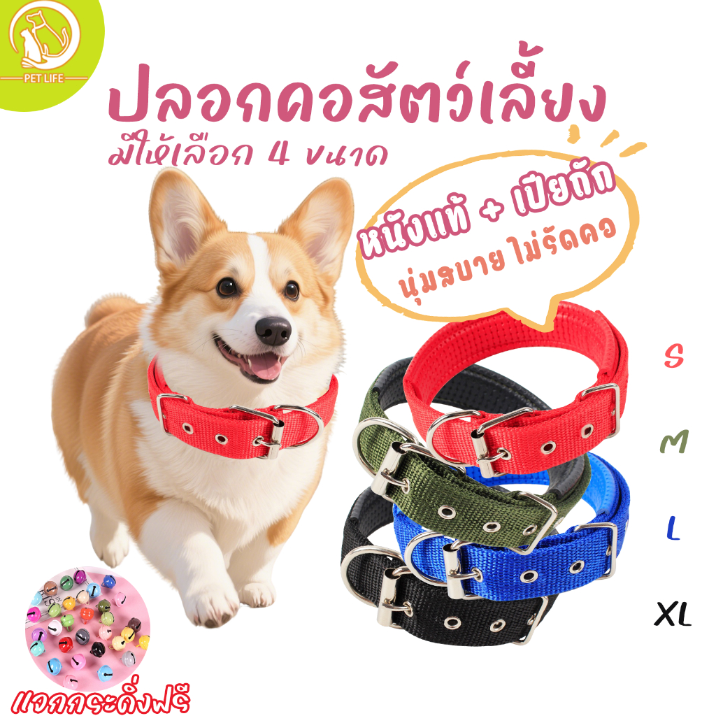 PET LIFE ปลอกคอสัตว์ ปลอกคอสุนัข หมา ปลอกคอแมว มี 4 ขนาด แบบไนล่อน ปลอกคอสัตว์เลี้ยง แจกกระดิ่งฟรี
