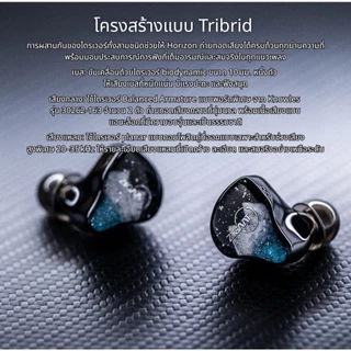 [ประกันศูนย์ไทย] Ziigaat Horizon หูฟัง Hybrid 5 ไดรเวอร์ เวทีเสียงกว้างรายละเอียดครบโทนเสียงฟังสบาย