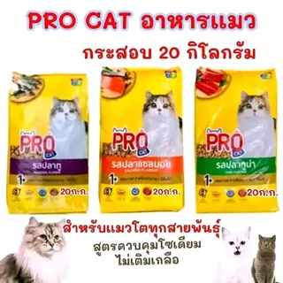เทศกาลโปรเเคท [ กระสอบ 20 ก.ก.] PRO CAT อาหารแมว 26% รสปลาทู ปลาทูน่า แซลมอน: อาหารแมว PRO CAT ประกอบด้วยส่วนผสม 26% รส
