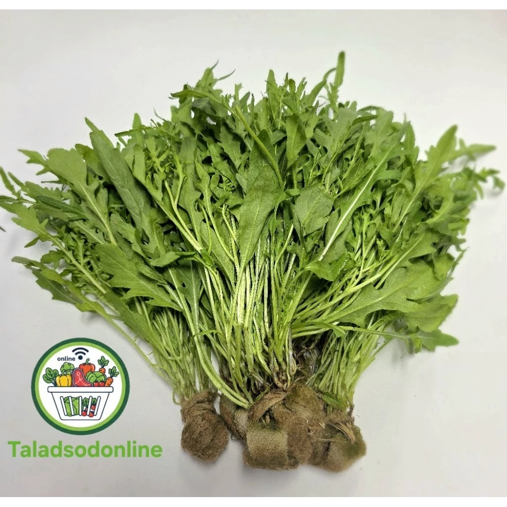 ไวด์ร็อคเก็ต ผักสลัด Wild Rocket ไฮโดรโปนิกส์ สด สะอาด รับประกันคุณภาพ