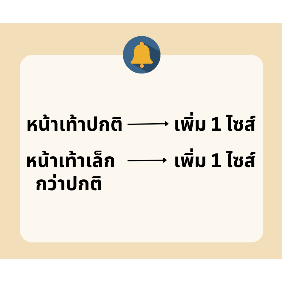รูปภาพ 8
