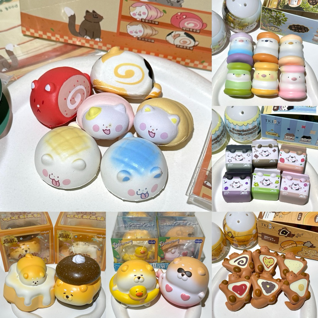 พร้อมส่ง‼️สกุชชี่ ‘ Molynk ' รวมทุกแบบ เนื้อดี น่ารักสุดๆ กลิ่นหอม | sss store