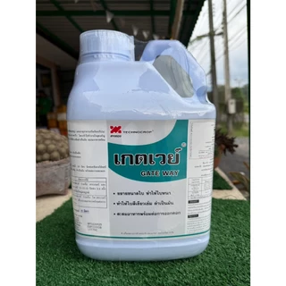 เกตเวย์ ขนาด 5 ลิตร เทคโนคร็อป ธาตุรอง-เสริม ขยายขนาดใบ ใบหนา ทำให้ใบสีเขียวเข้ม ดำเป็นมัน สะสมอาหารพร้อมต่อการออกดอก