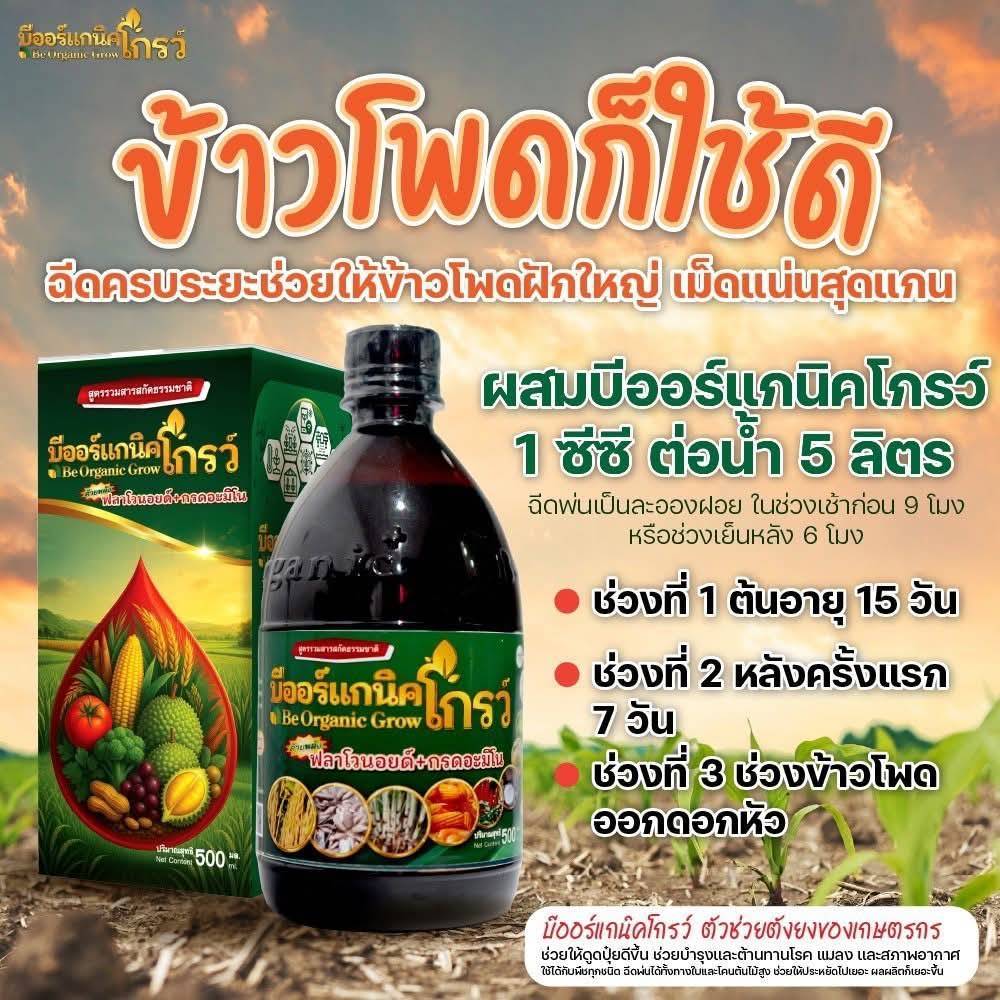 🔥[ โฉมใหม่ !! 3 ขวด] 🔥Be-Organic Grow บีออแกนิคโกรว์ อาหารเสริมพืช ลดปุ๋ย ลดยา ขนาด100 ซีซี รับประกันของแท้ - รูปที่ 6