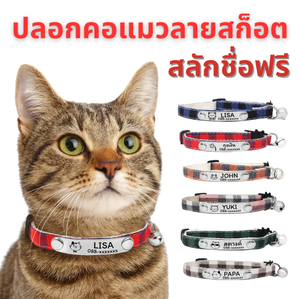ปลอกคอแมว ลายสก๊อต ปลอกคอนิรภัยแมวสลักชื่อ เบอร์โทรฟรี🪄
