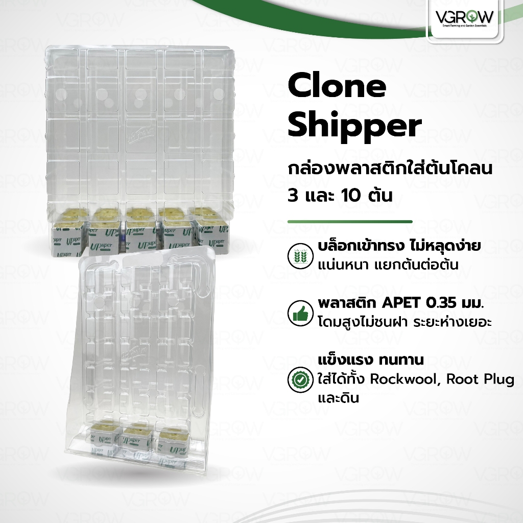 Clone Shipper กล่องใส่ต้นโคลน 3 และ 10 ต้น บรรจุต้นโคลน ป้องกันการกระแทก กล่องพลาสติกใส่ต้นโคลน