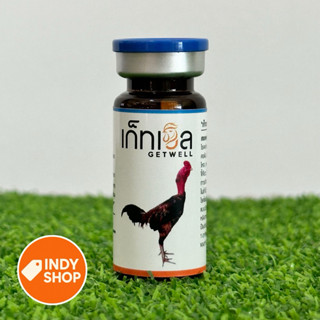 เก็ทเวล อาหารนก อาหารไก่