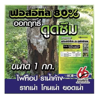 ฟอสอีทิล 80% ตราซิกซ์ตี้ซิกซ์ โรครากเน่าโคนเน่า ผลเน่า โรคไฟท็อปธอร่า โรคราน้ำค้าง โรคราแป้ง