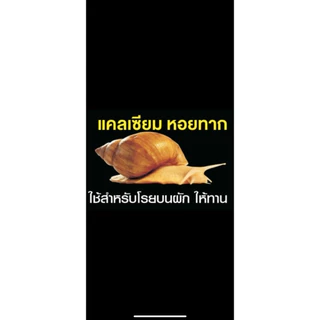 แคลเซียมโรยบนอาหาร ใช้ได้ทั้งหอยทาก และสัตว์เลื้อยคลาน ใช้โรยบนอาหาร