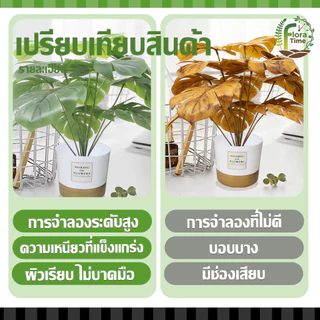 ต้นไม้ปลอมใหญ่ 12/18/24ใบ ความจำลอง 99% ไม่จำเป็นต้องบำรุงรักษา สดชื่นยาวนาน ต้นไม้ประดับบ้าน แถมฟรีหิน