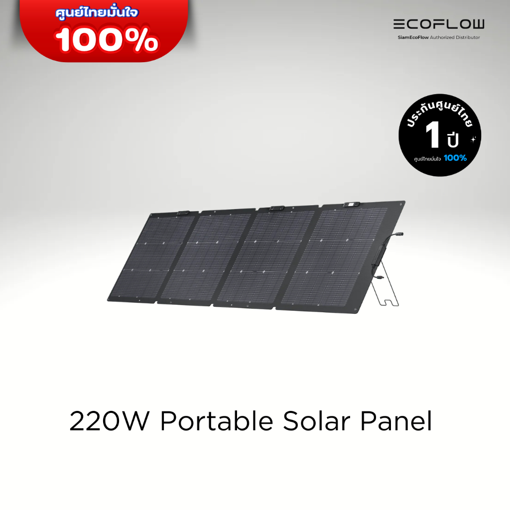 EcoFlow 220W Portable Solar Panel