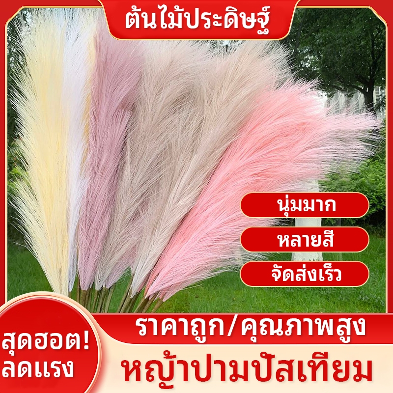 12 ชิ้น ช่อหญ้าปลอม หญ้าแพมพาส หญ้าเทียม ต้นหญ้าแห้ง หญ้าคา ช่อหญ้าสี ดอกเลา ดอกไม้ปลอมpampas คริสต์มาส ตกแต่งบ้าน