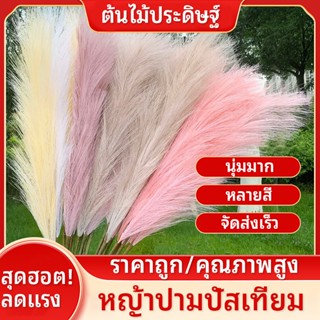 12 ชิ้น ช่อหญ้าปลอม หญ้าแพมพาส หญ้าเทียม ต้นหญ้าแห้ง หญ้าคา …