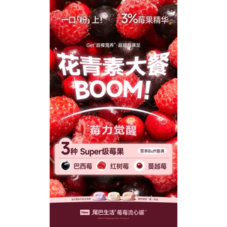 (ยกกล่อง) Furry Tail - Berry Lava Core Can อาหารเปียกแมวลาวาไส้ไหล 260g (65g× 4กระป๋อง) พร้อมส่งจากไทย