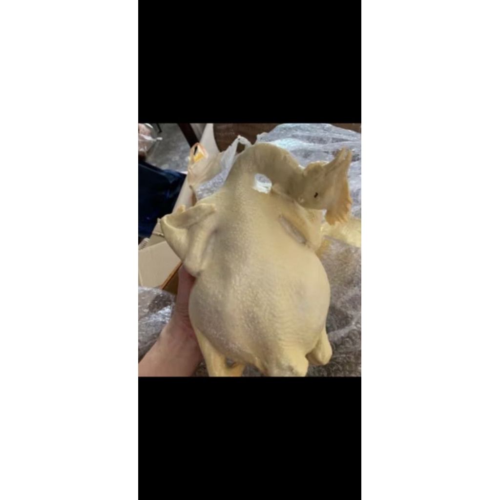 โมเดลไก่ต้มทำจากเรซิ่นขนาดเท่าไก่จริง ประมาณ3กิโล มีตะขอแขวนให้ครับ ขายกันไม่แพงครับใช้แขวนโชว์แทนของจริงทนทานนานปีครับ