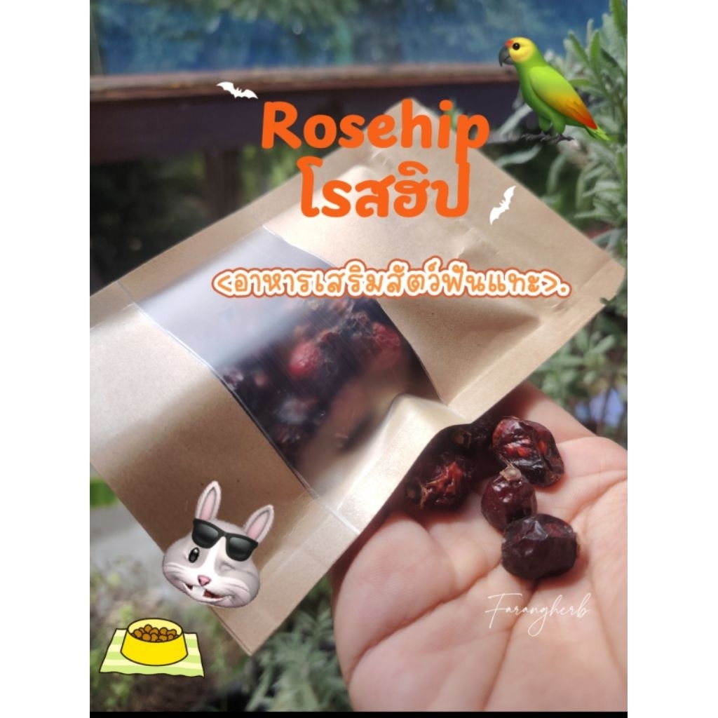 เมล็ดสำหรับเพาะ Rosehip //โรสฮิป 6เมล็ด 49บาทนำเข้าจากประเทศตุรกี