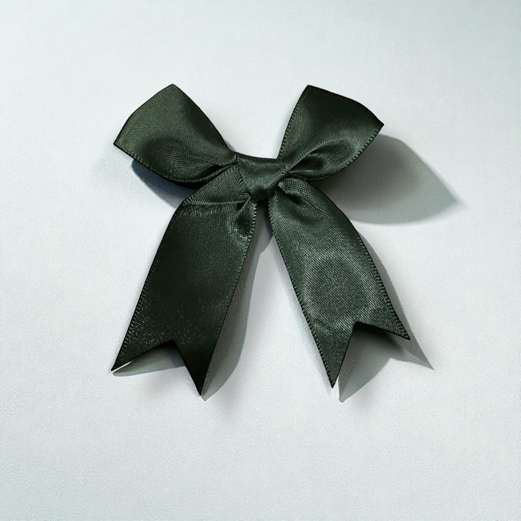 พร้อมส่ง! เข็มกลัดโบว์ดำ กิ๊บโบว์ดำ2ชิ้น โบว์ติดไหล่นักเรียน กิ๊บติดเสื้อนักเรียน โบว์ดำ