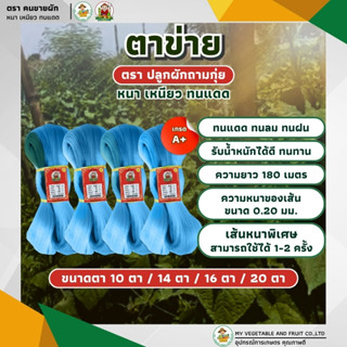 ตาข่าย ตราปลูกผักถามกุ่ยยัง  เกรด A+ ขนาด 0.20 มม. หนา เหนีย…
