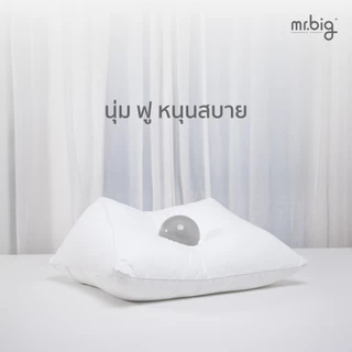 mr.big Knee Pillow หมอนรองเข่า สบายเข่าทั้งในท่านั่งและนอน