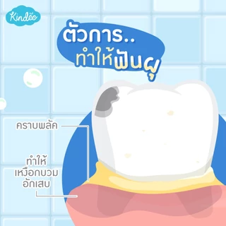 (ส่งด่วน) KINDEE ยาสีฟันเด็ก ออร์แกนิค สารสกัดจากธรรมชาติ ใช้ Xylitol แทนน้ำตาล
