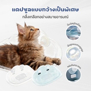 🐱เปลแมวติดกระจก เตียงแขวนสัตว์เลี้ยง รับน้ำหนักได้ถึง สีใส ร…