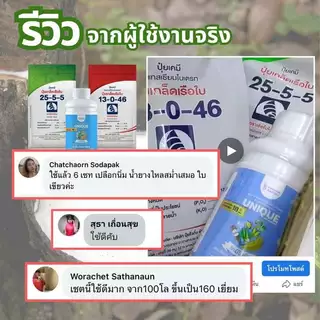 เซตเร่งน้ำยาง บำรุงหน้ายาง ช่วยฟื้นต้น สร้างเปลือกใหม่ได้เร็ว เปลือกนิ่ม กรีดง่าย เพิ่มปริมาณน้ำยาง