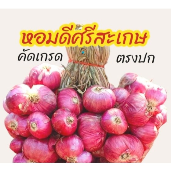 [ส่งฟรี] #1กิโล💥| ใหม่หอมแดง ศรีสะเกษแท้ ตรงปก หอมแดงไทย มัดจุก 500 กรัม คุณภาพดี เนื้อแน่น หัวสวย