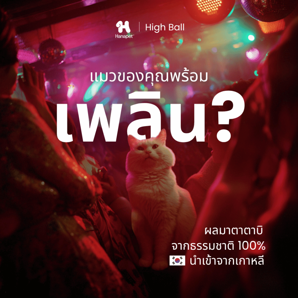 Hanapet Highball ผลมาตาตาบิ (10g) ฟินสุดขีด ดิดเต็มแม็กซ์