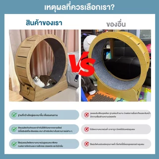 L&Q ลู่วิ่งแมว ที่ออกกำลังกายสัตว์เลี้ยง ออกกำลังกาย ขนาดใหญ่ cat wheel ของเล่น Pet treadmill