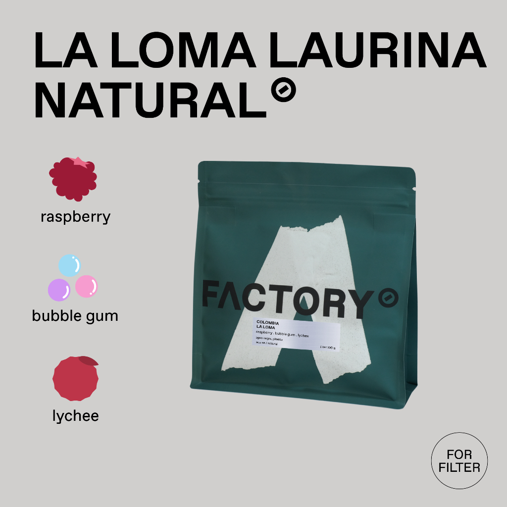 Factory Coffee เมล็ดกาแฟ Colombia - La Loma (Laurina) l Natural Process (บรรจุ100g)
