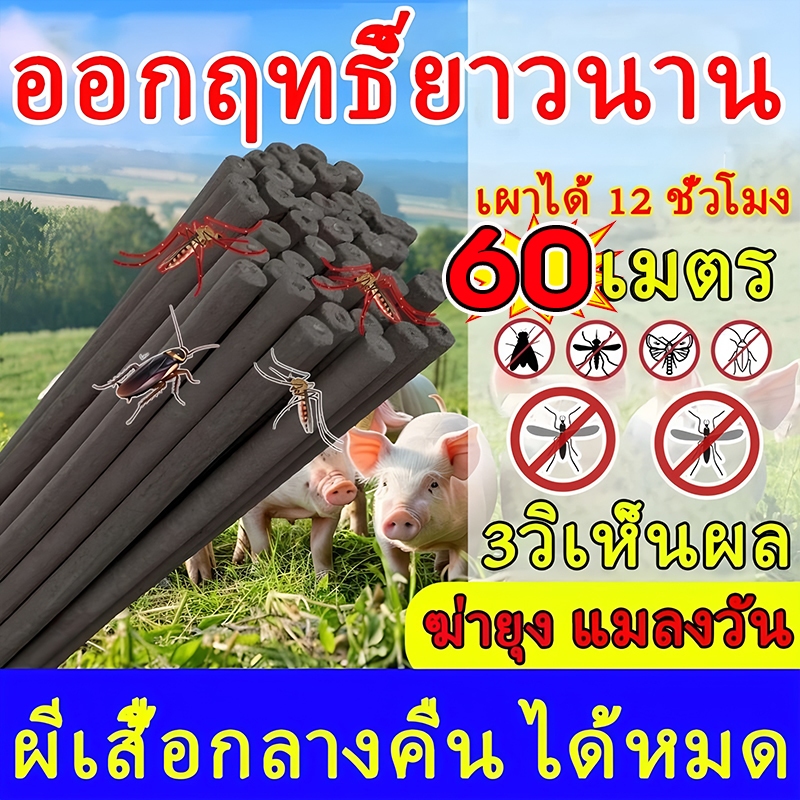 ปรับปรุงสภาพแวดล้อมการเลี้ยงสัตว์ ธูปไล่ยุง 1.2เมตร 20แท่ง ธูปจัมโบ้ตะไคร้ ไล่ จุดได้นาน 12 ชั่วโมง ธูปตะไคร้ไล่ยุง