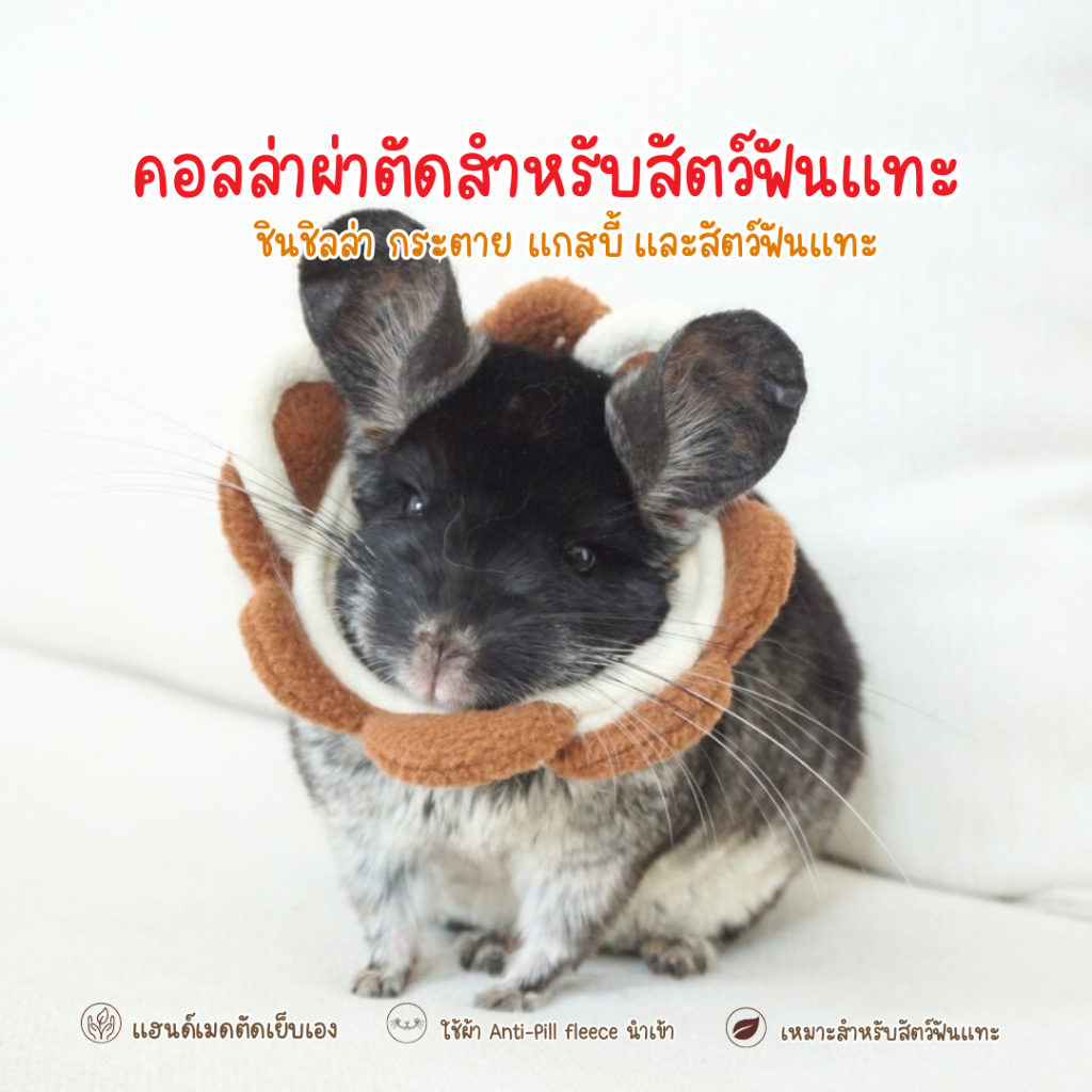 Chinchulie | คอลล่ากันเลีย ปลอกคอสัตว์เลี้ยง คอลล่าสัตว์ฟันแทะ ชินชิล่า แกสบี้ กระต่าย