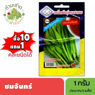 3A (ซื้อ10แถม1) เมล็ดพันธุ์ ชมจันทร์ ขนาด1กรัม ประมาณ5เมล็ด Chomchan ดอกชมจันทร์ เมล็ดพันธุ์พืช เมล็ดผัก ปลูกผักสวนครัว