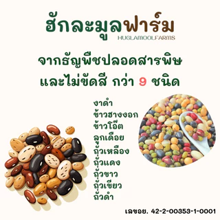 ถั่ว5สี เครื่องดื่มชนิดผง 240กรัม(12ซอง) ตราพอท จากธัญพืชปลอดสารพิษ9ชนิด