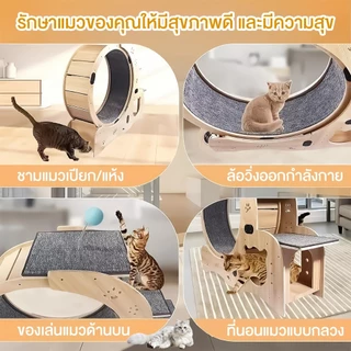 ลู่วิ่งสำหรับแมว ลู่วิ่งไม้สำหรับสัตว์เลี้ยง ลู่วิ่งสำหรับสัตว์เลี้ยง พร้อมที่นอนแมว ปีนป่ายได้