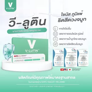 Velutin วีลูติน ไซนัสอักเสบ ริดสีดวงจมูก ภูมิแพ้เรื้อรัง ลดบวมไซนัส ริดสีดวงจมูก ภูมิแพ้เรื้อรัง หายใจโล่ง ลดเสมหะ