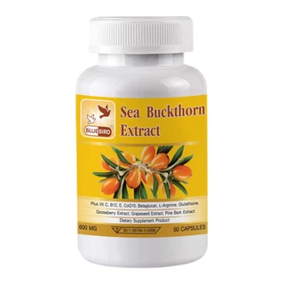 [1แถม1] Sea Buckthorn Extract Plus สารสกัดจากซีบัคธอร์น พลัส ตรา บลูเบิร์ด 600 มก. 60 แคปซูล