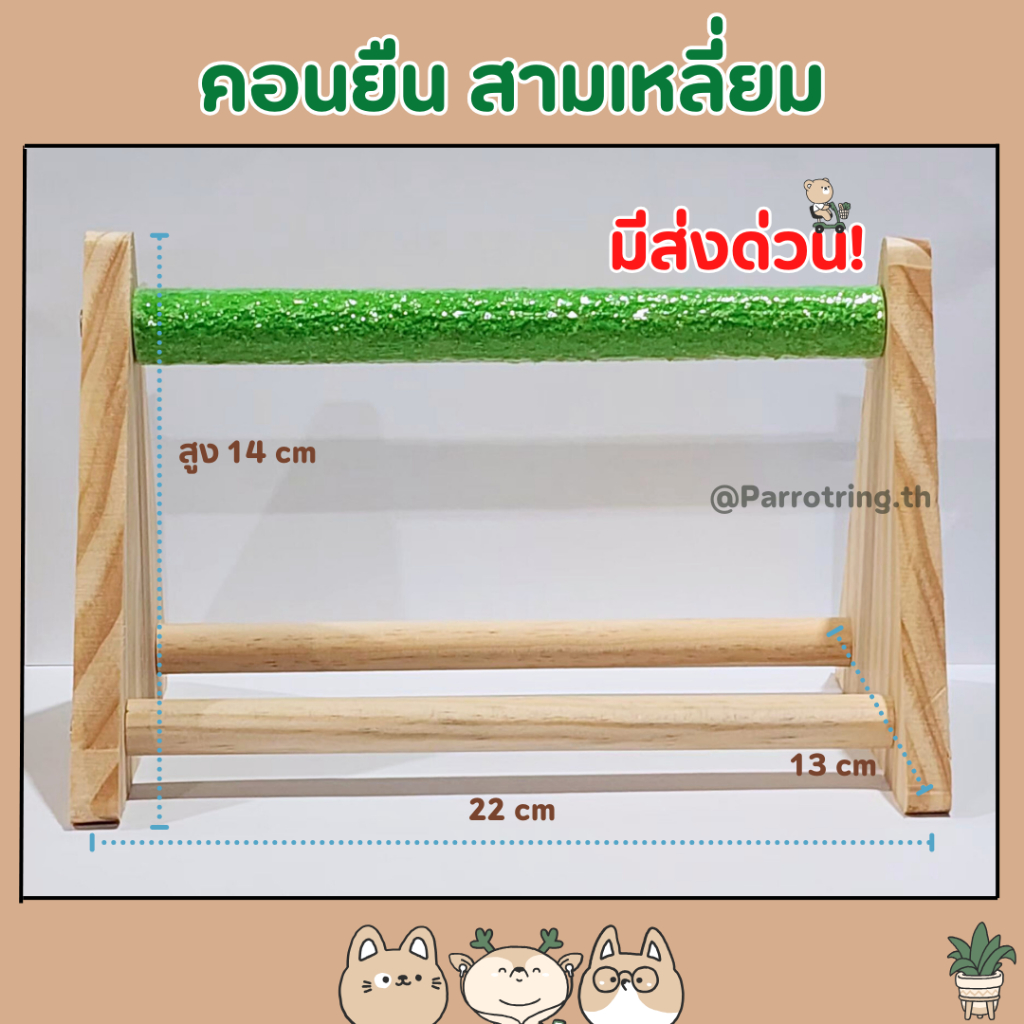 คอนยืนลับเล็บนกแก้ว คอนยืนสามเหลี่ยม คละสี